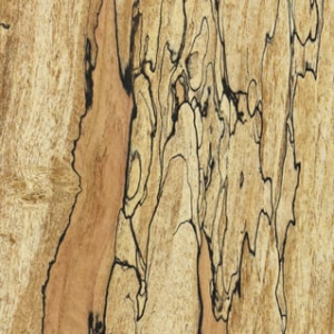 Spalted Wood